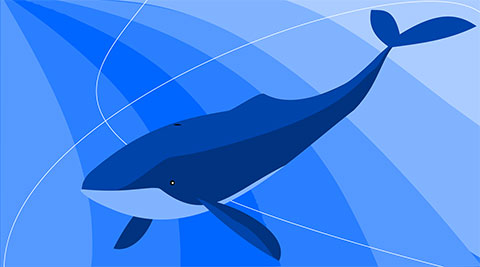 blue-whale